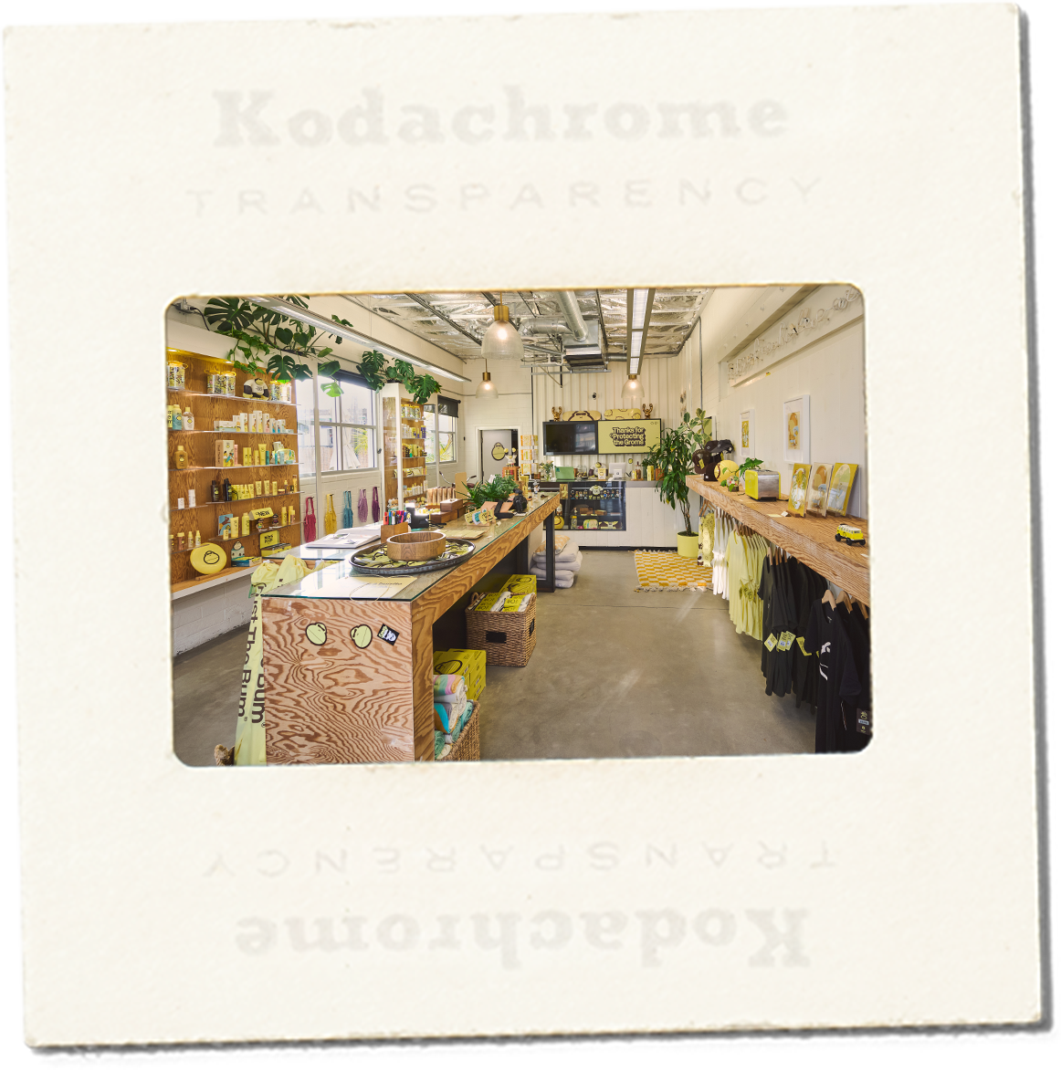 Kodachrome transparency slide showing a store interior with wooden counters and shelves.