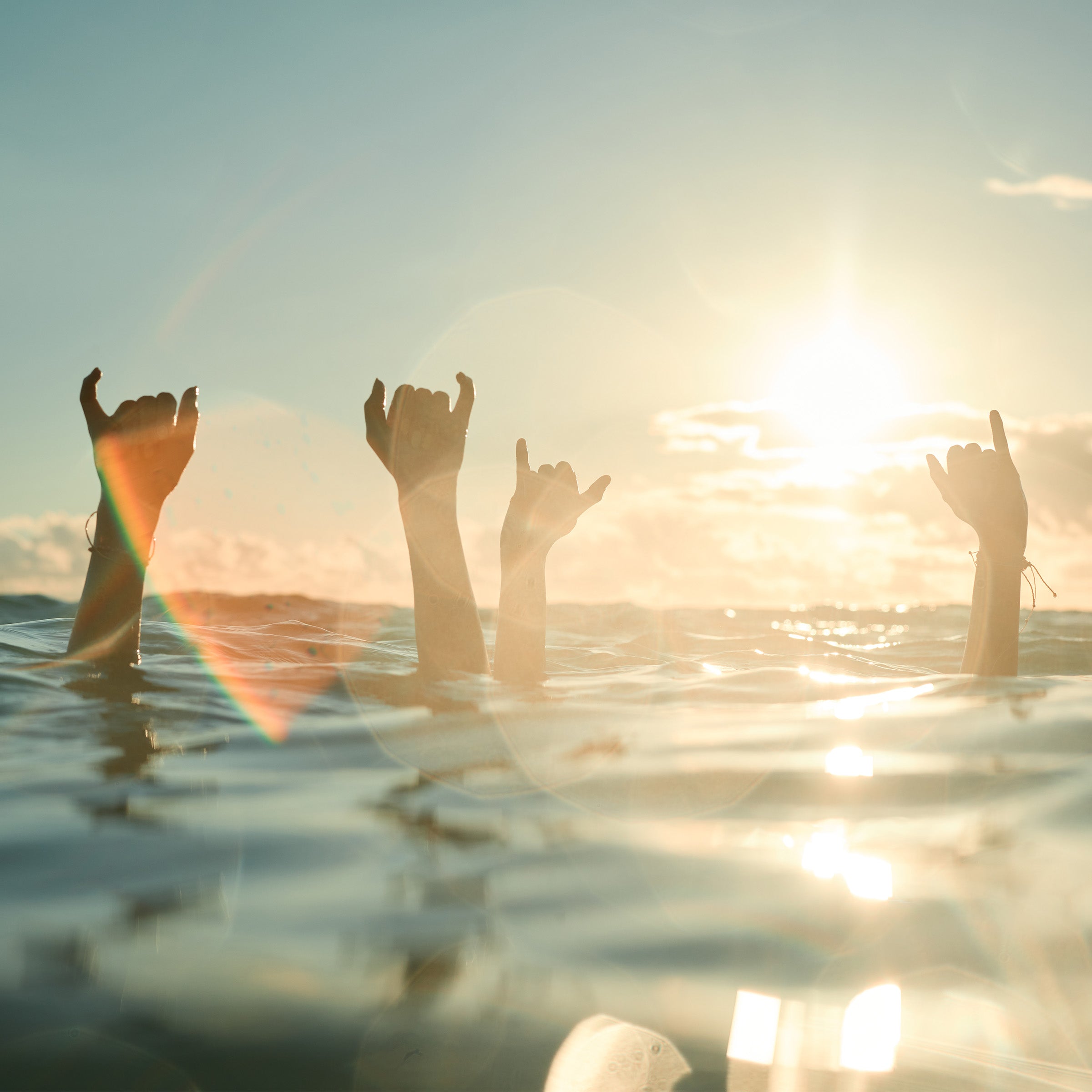 Hands throw shaka signs above ocean water at sunset, capturing good vibes and sun care spirit – After Sun Collection - Sun Bum