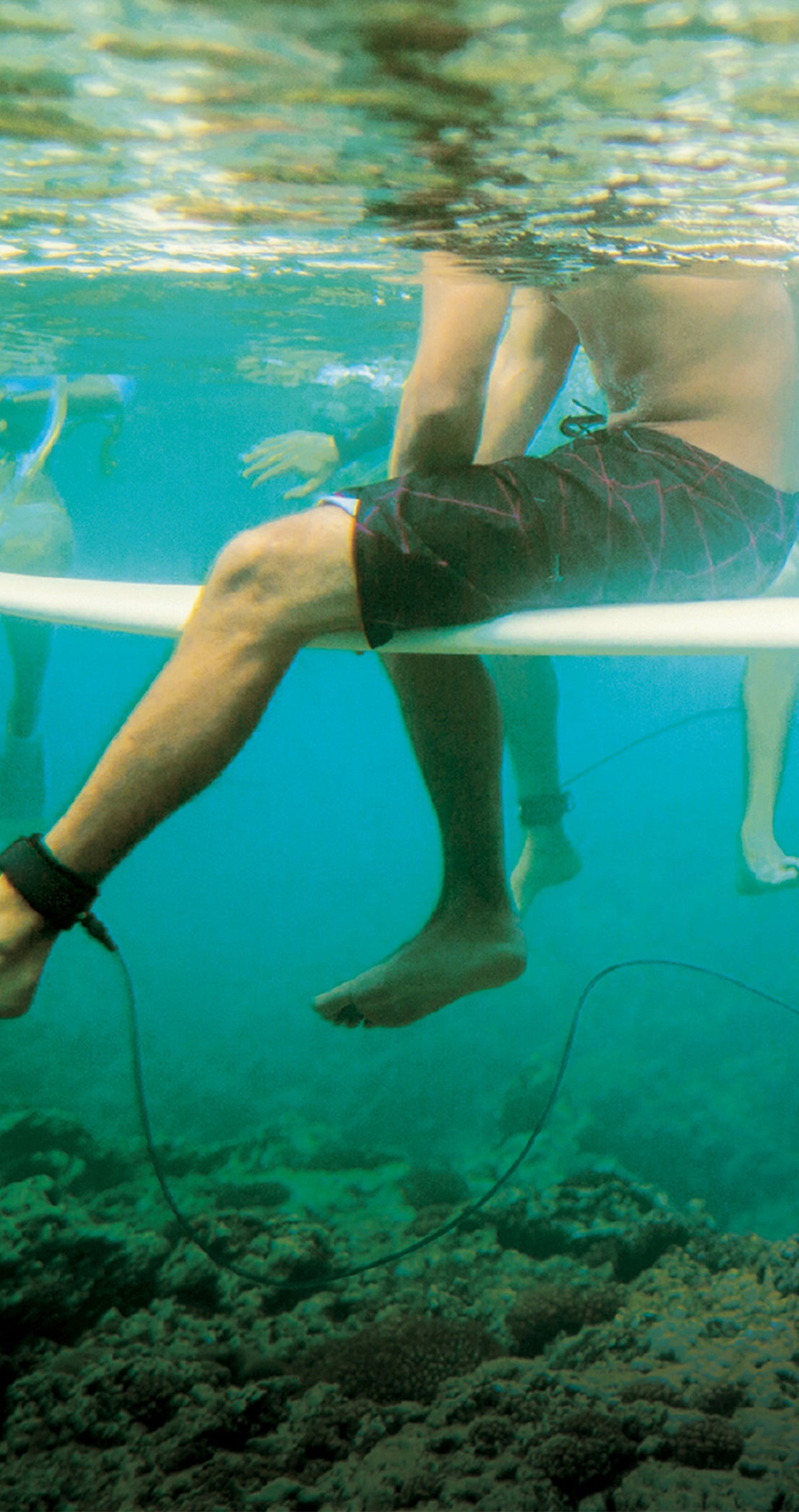 Taking a surf break. 404.