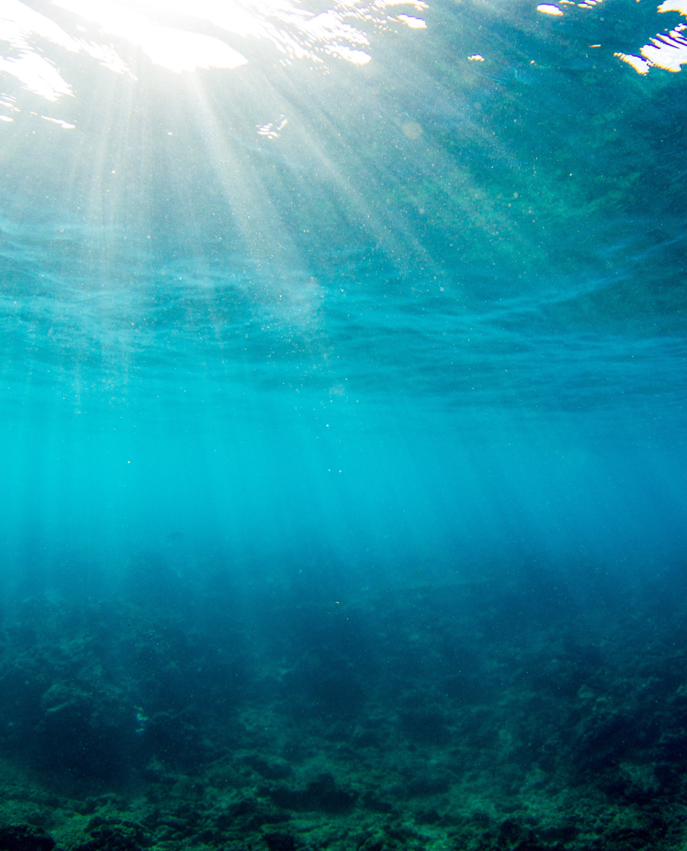 Sunlight streaming through clear ocean water, highlighting a healthy reef's beauty – Ask The Bum Hawaii Act 104 - Sun Bum