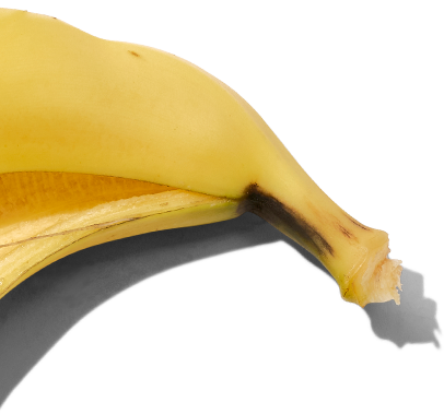 Close-up of a yellow banana on a white background