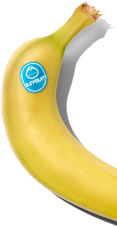 Banana with a blue 'Summit' sticker on a white background