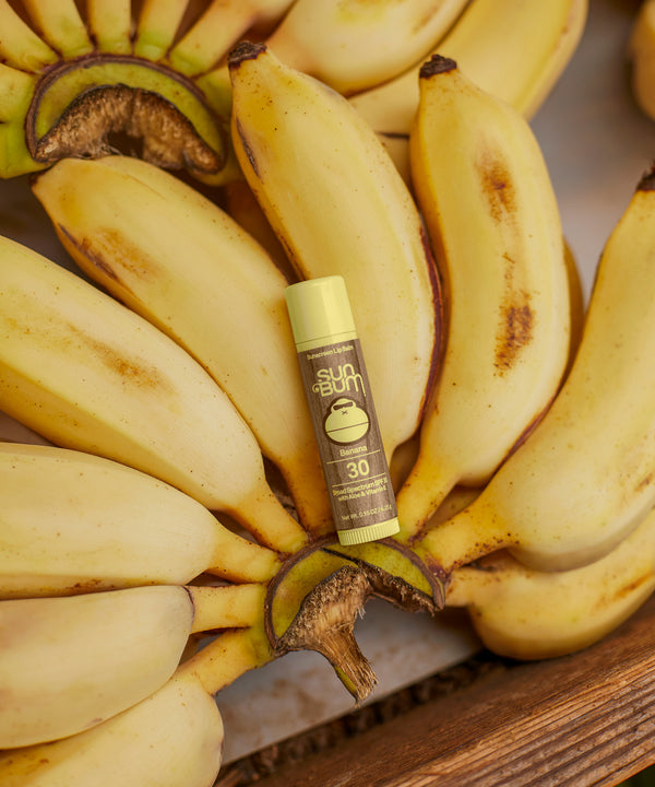 Original SPF 30 Sunscreen Lip Balm with Aloe and Vitamin E, Banana flavor, nestled among fresh bananas. Sun Bum.