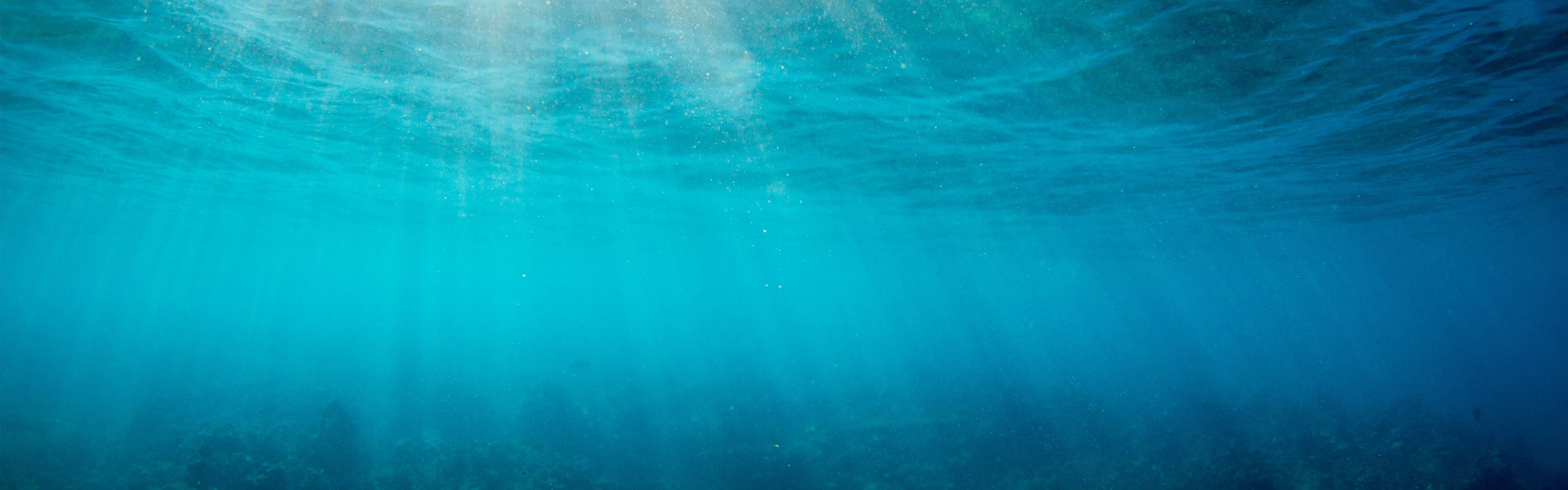 Sunlight beams through clear ocean water above a coral reef, highlighting the Hawaii Act 104 Collection – Sun Bum.