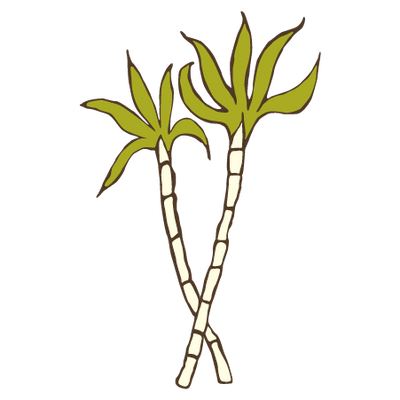 Organic Cane Sugar