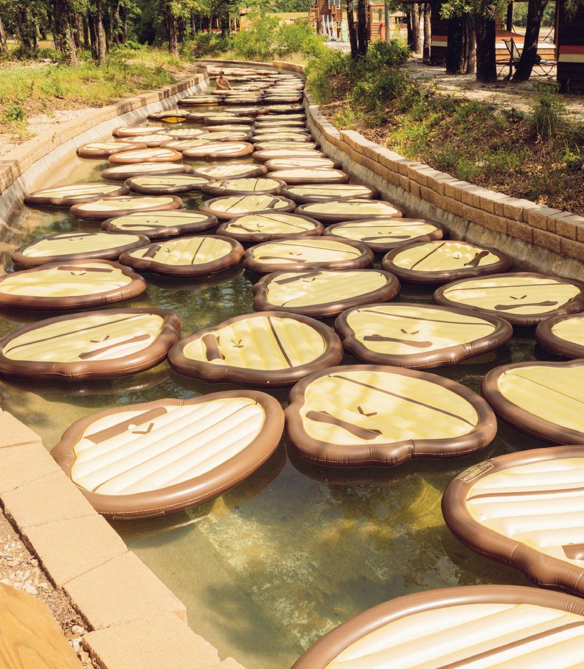 Daily 50 Body Lotion Sun Bum daily-50-body-lotion-sun-bum