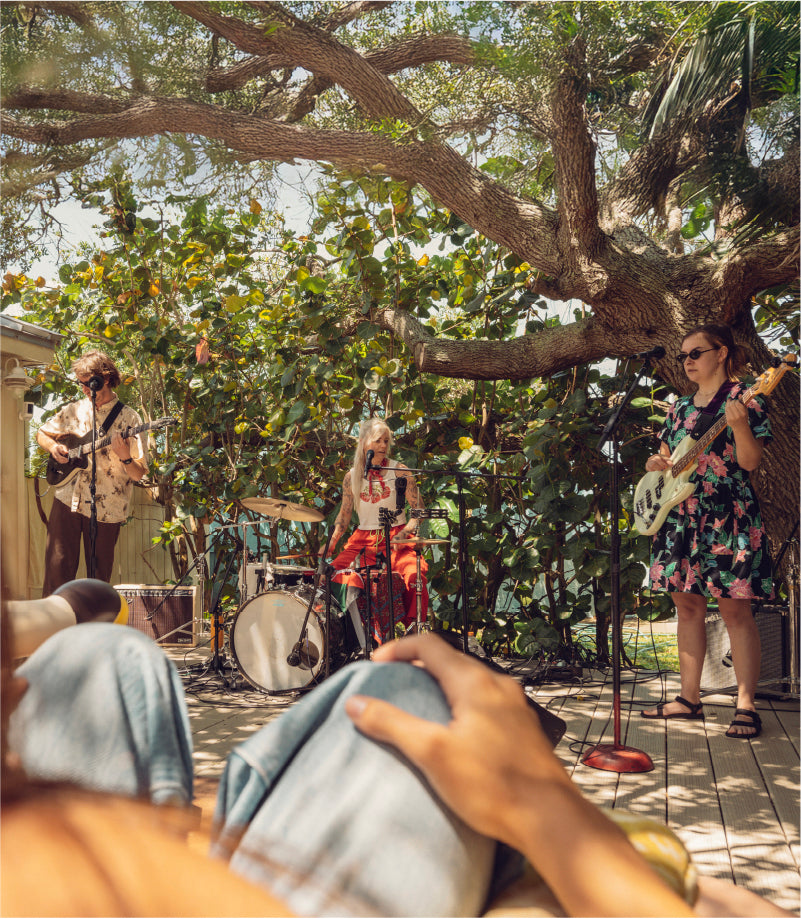 Band playing music under a large tree on a wooden deck