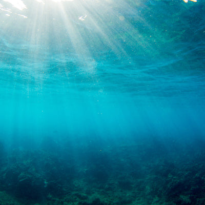Sunlight beams through crystal clear ocean water – Hawaii Act Collection - Sun Bum.