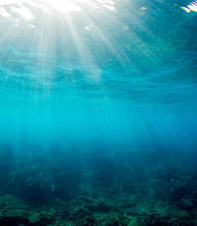 Sunlight beams through clear ocean water above a coral reef, highlighting the Hawaii Act 104 Collection – Sun Bum.