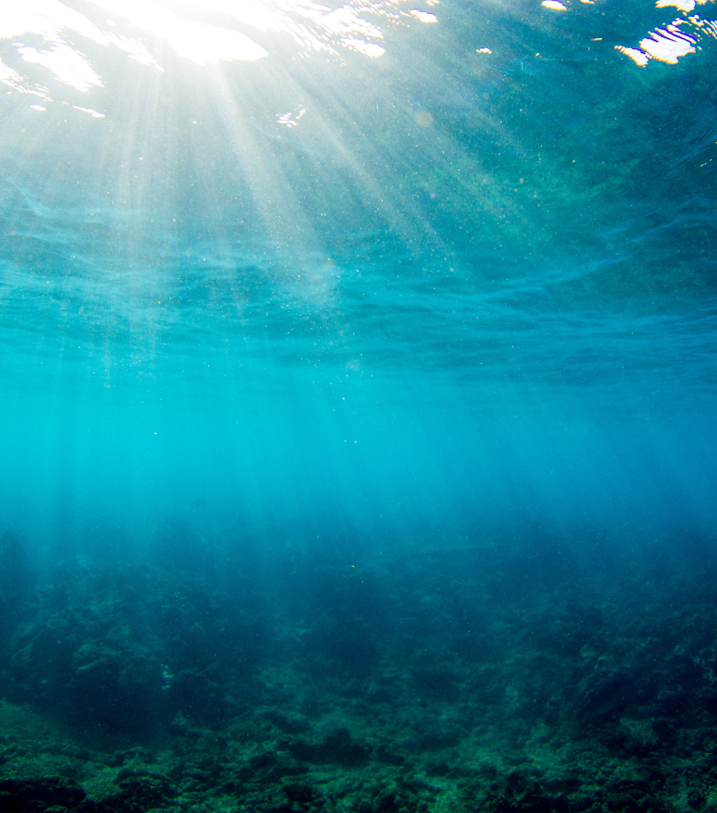 Sunlight beams through crystal clear ocean water, promoting reef safety and eco-conscious sun care – Hawaii Act Collection - Sun Bum.