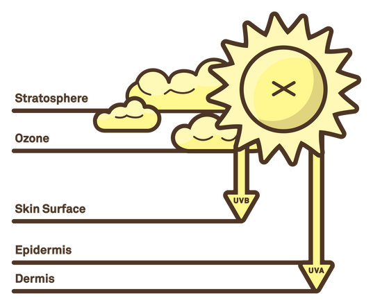 Sun Protection Guide | Sun Bum